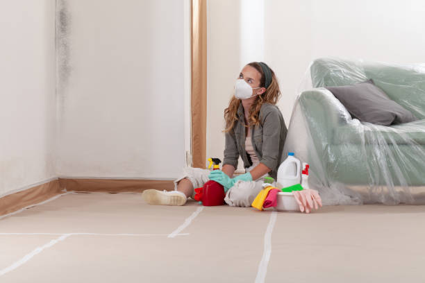 Reliable Black Mold Remediation contractor in Nicktown, PA by Mold Remediation HQ
